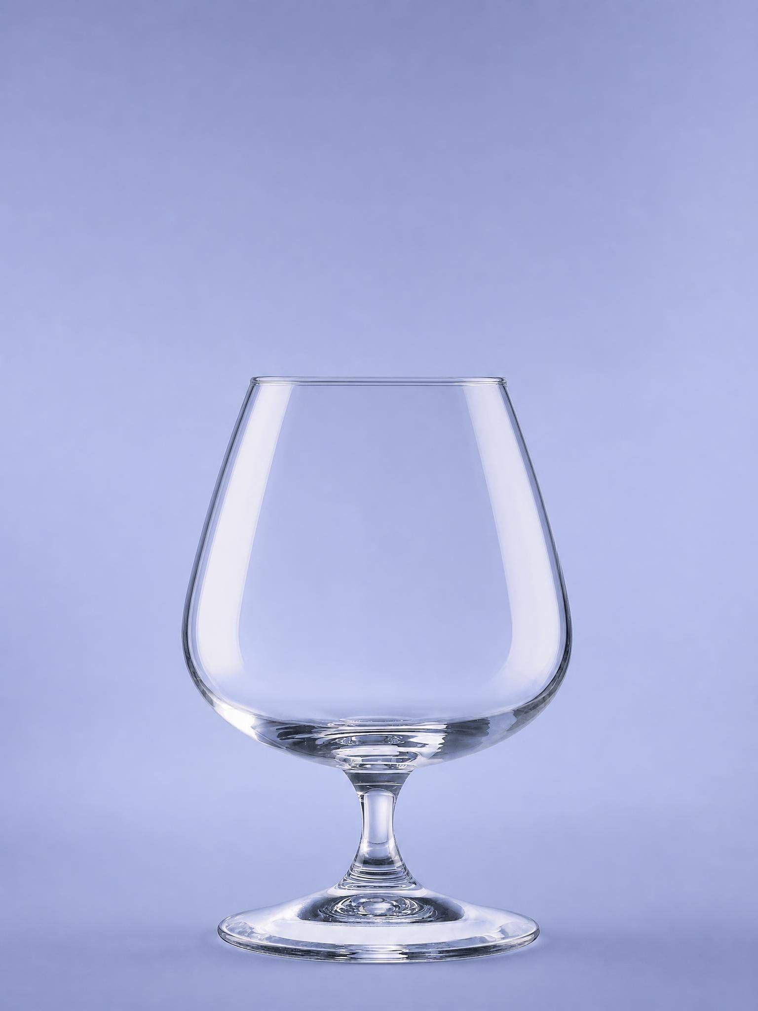 Arcoroc Degustation Cognacglas 41 Cl - 6 Stück