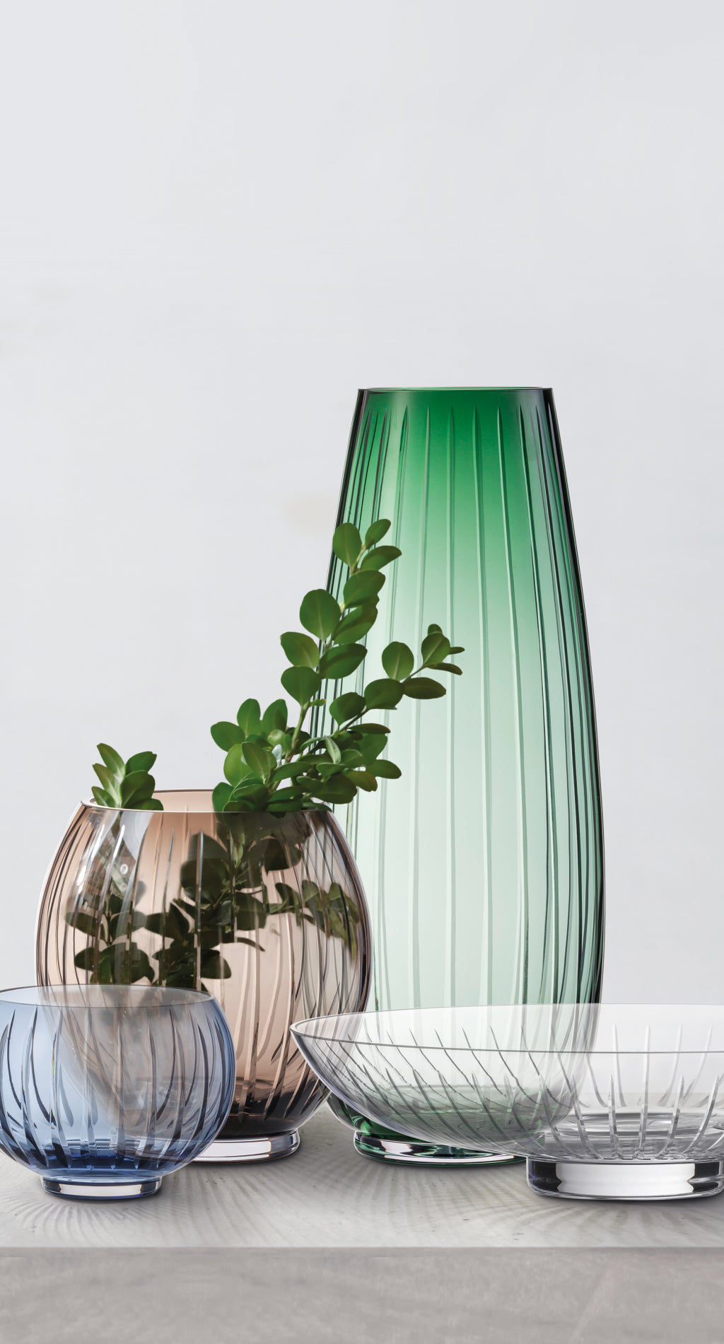 Zwiesel Glas Signum Schale 341 mm Kristallklar