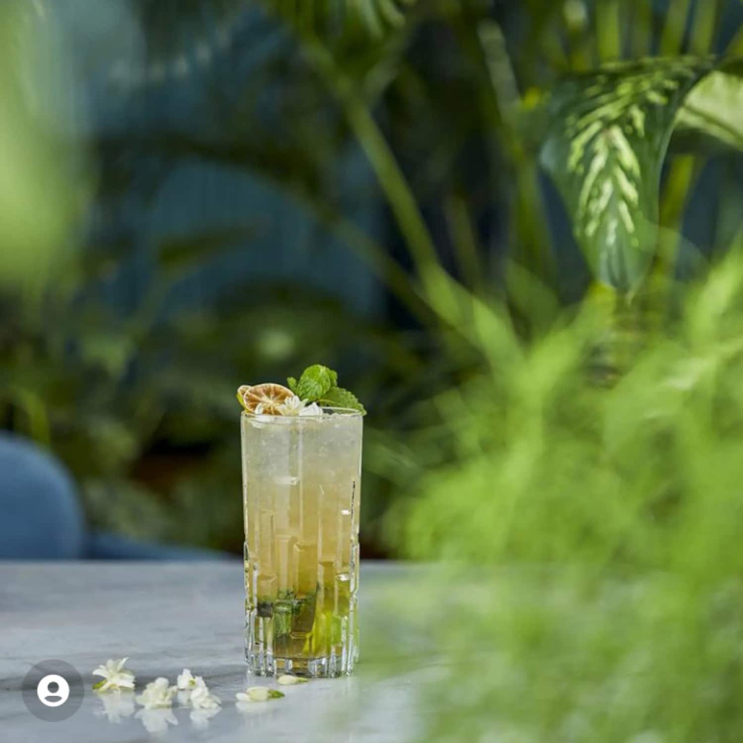 RCR Etna Whisky Karaf 81 Cl - 6 Stuks - Glazen.nl