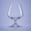 Arcoroc Degustation Kognakschwenker 15 cl – 12 Stück