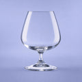 Arcoroc Degustation Cognacglas 41 Cl - 6 Stück