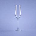 Arcoroc Mineral Champagnerglas / Flöte 16 cl - 6 Stück
