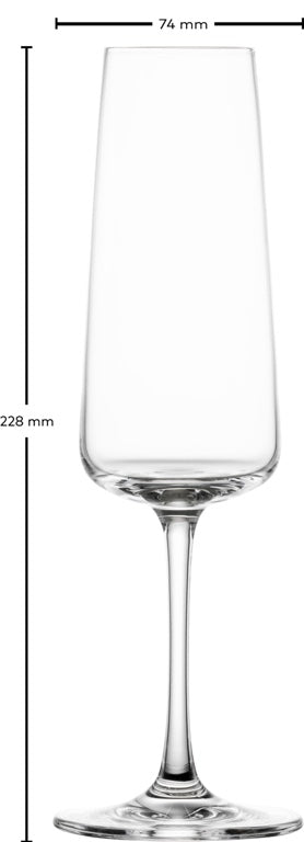 Schott Zwiesel MioVino Champagnerglas 26 Cl mit Moussierpunkt – 4 Stück