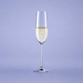 Spiegelau Salute Champagnerglas / Flöte 21 Cl - 12 Stück