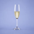 Spiegelau Winelovers Champagnerkelch 19 cl – 12 Stück