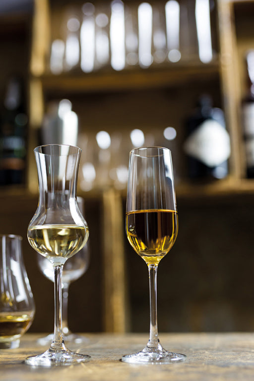 Schott Zwiesel Bar Special Grappaglas 11 Cl – 6 Stück