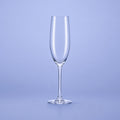 Chef & Sommelier Cabernet Champagnerglas / Flöte 24 cl – 6 Stück
