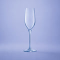 Chef & Sommelier Sequence Champagnerglas / Flöte 17 cl – 6 Stück