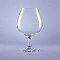 Chef & Sommelier Spirits Cognacglas 70 cl - 6 Stück