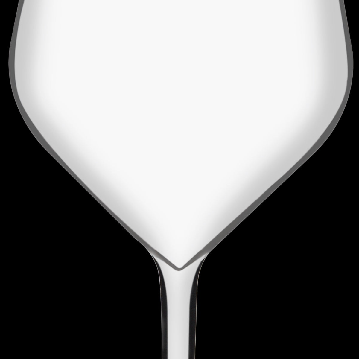 Bar Professional Backstage Wijnglas Kunststof 47 Cl sfeerbeeld