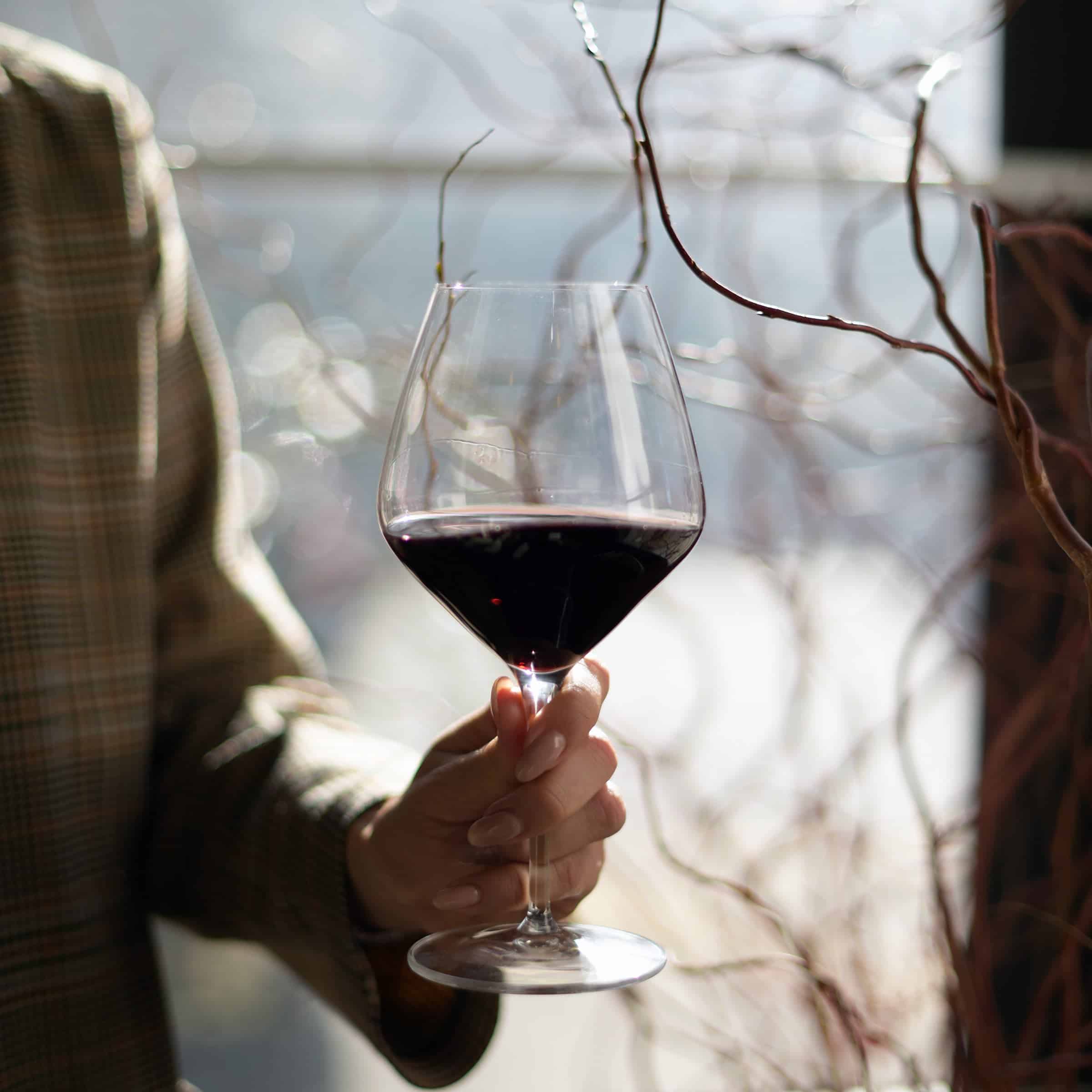 Luigi Bormioli Atelier Champagneglas / Flute 27 Cl - 6 Stuks - Glazen.nl