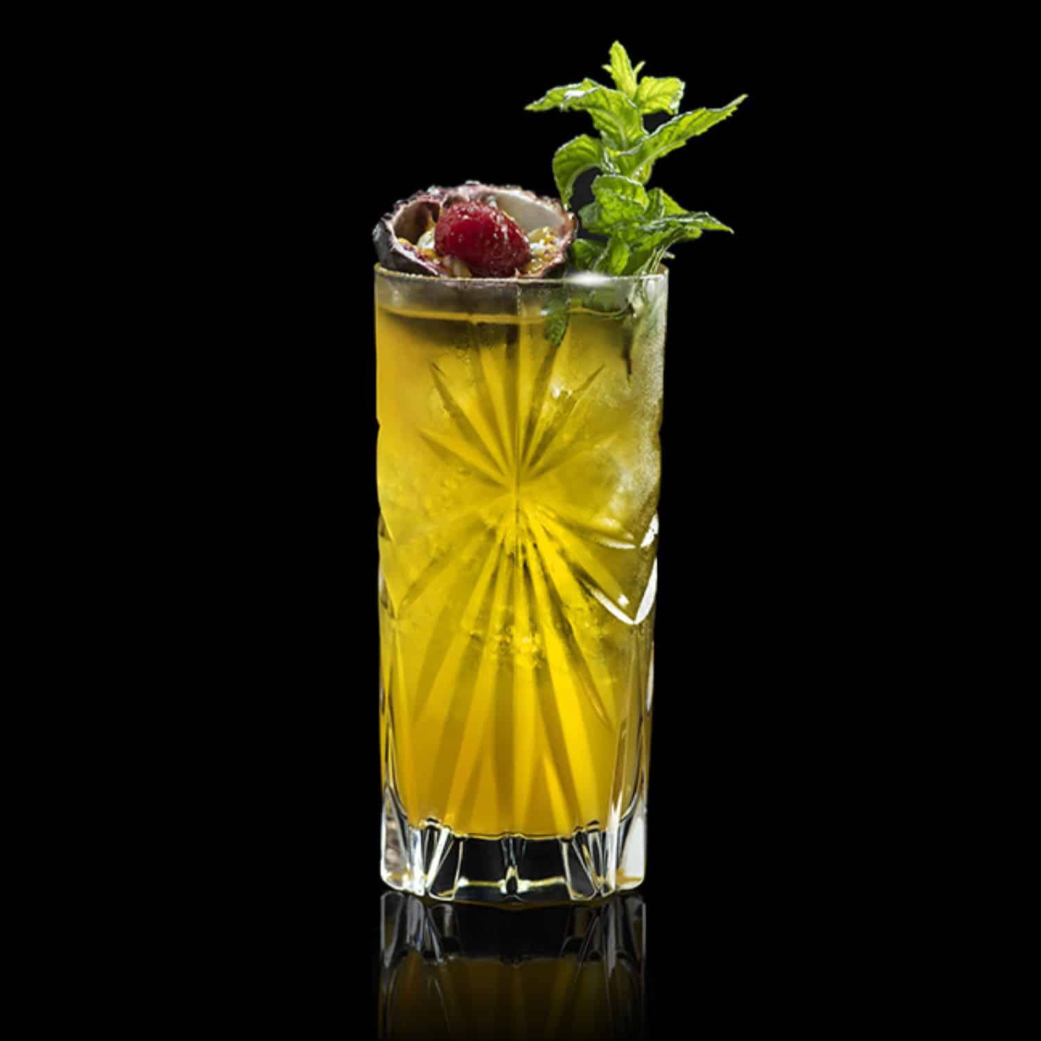 RCR Mixology Longdrinkglas 36 Cl - 44 Cl Assorti - Glazen.nl