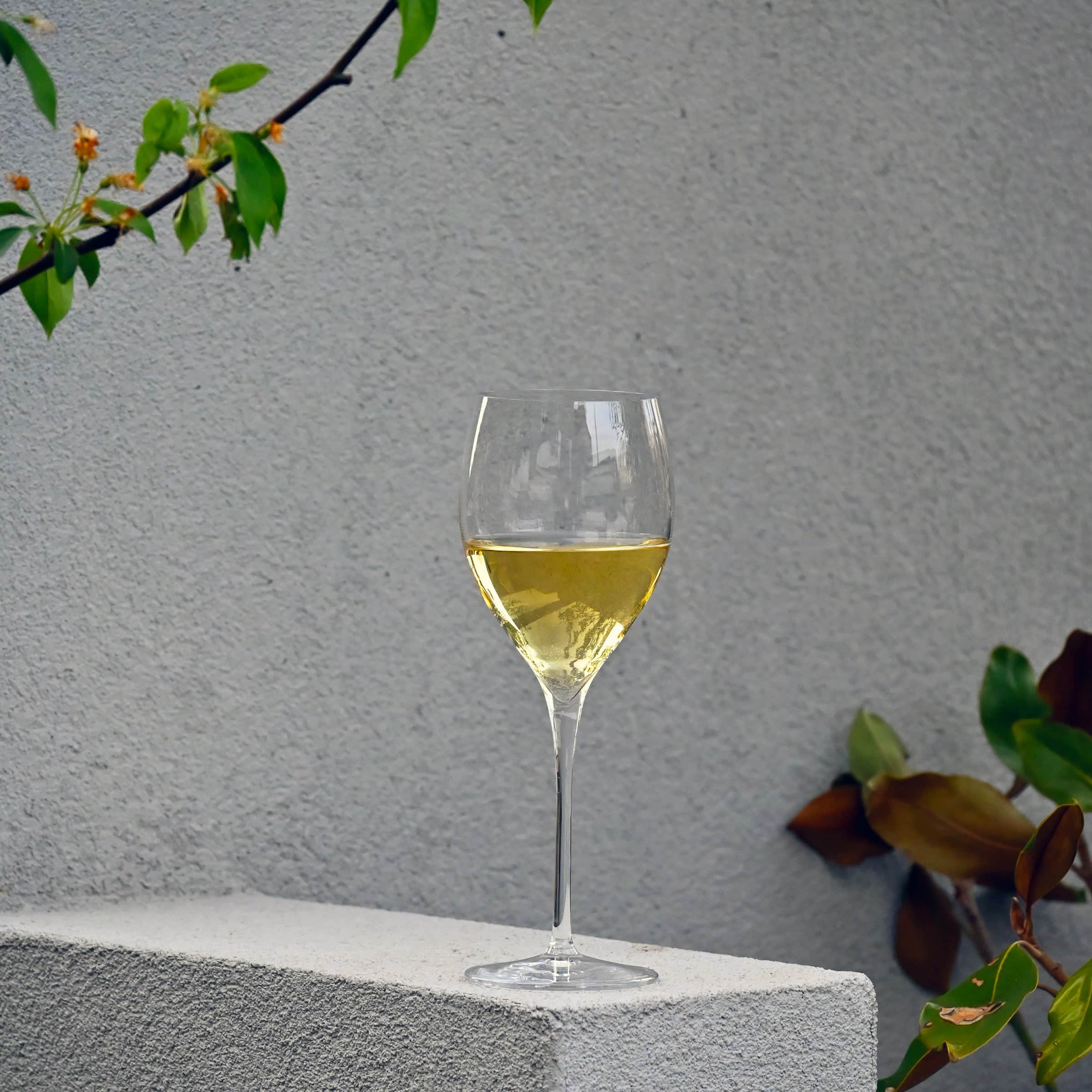 Luigi Bormioli Magnifico Wijnglas Medium 46 Cl - 4 Stuks - Glazen.nl