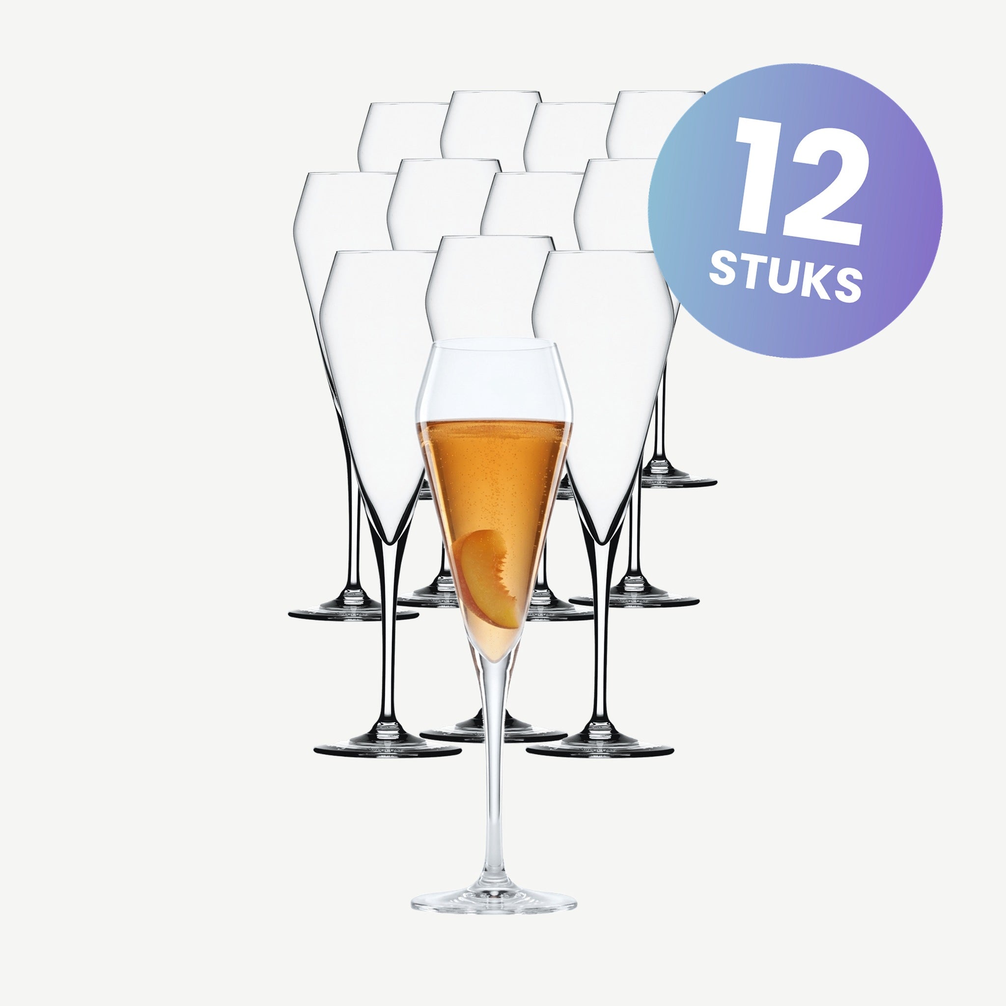 Spiegelau Willsberger Anniversary Champagneglas / Flute 25,2 Cl - set van 12 glazen